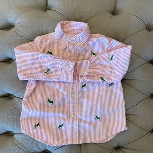 Ralph Lauren Pink Striped Shirt